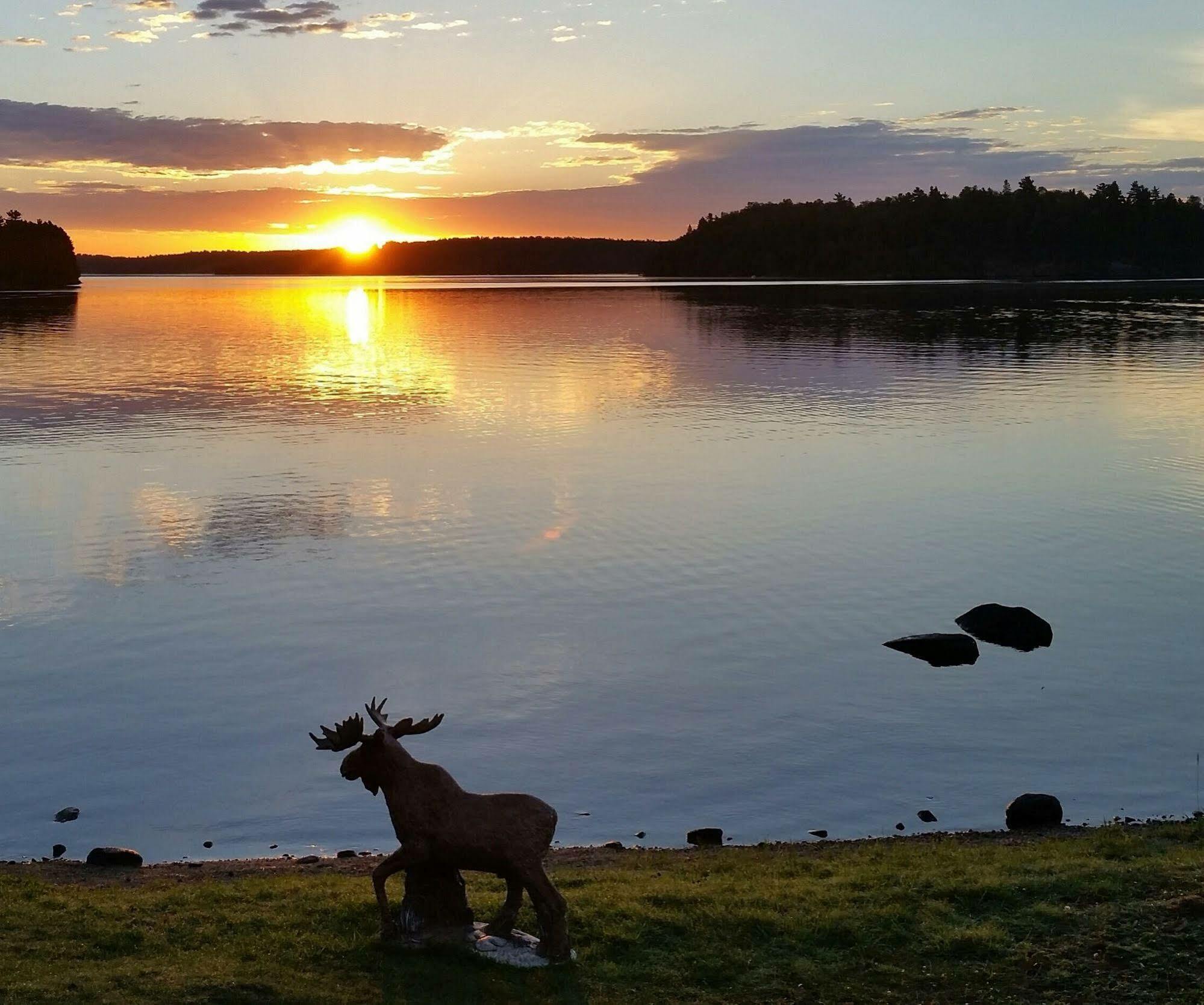 Pine Point Lodge Resort & Motel Crane Lake Exterior foto